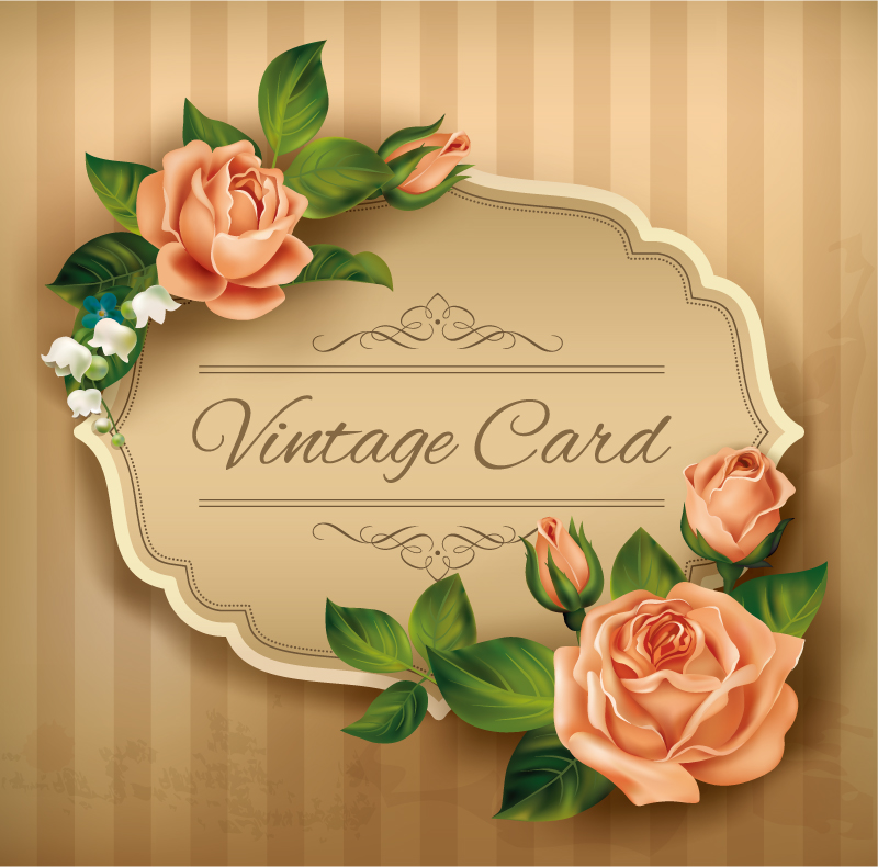 Vintage pink roses card vector material
