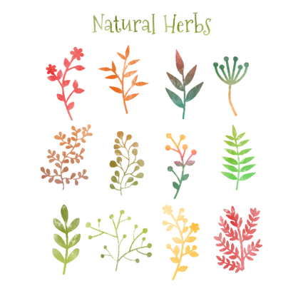 12 watercolor tree branch vector material