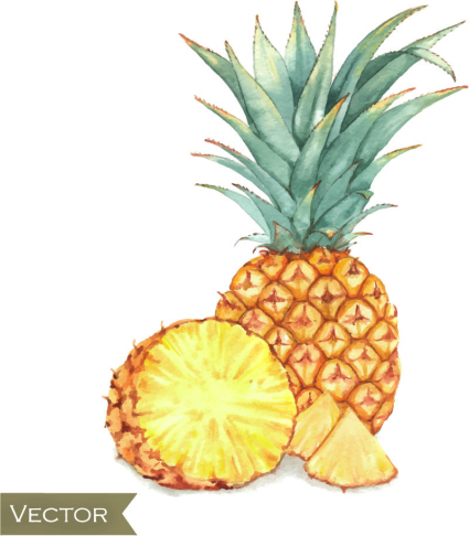 Painted delicious pineapple vector material