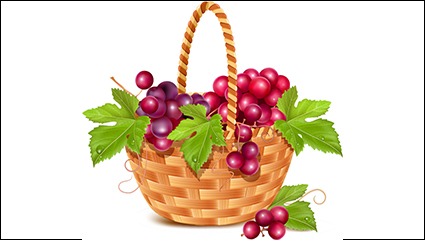 Fruit basket in the grapes vector material