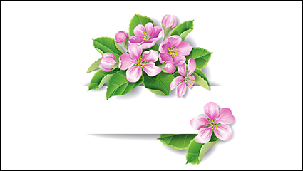 Beautifully decorated pink flowers banner vector material