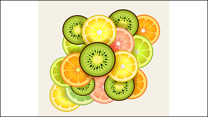 Delicious fresh fruit slices vector material