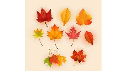 9 exquisite autumn leaves vector material