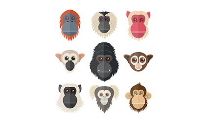 9 creative monkey and orangutan avatar vector material