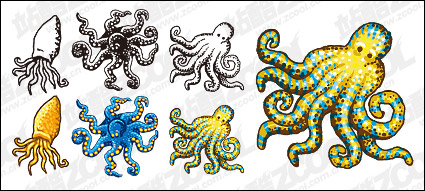 Vector octopus material