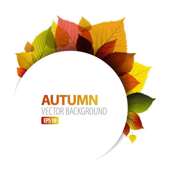Autumn leaves vector material -1