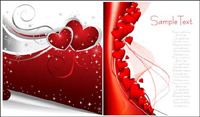 Valentine element vector material
