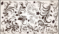 Delicate lace vector of material