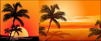 Coconut beach sunset shadow vector