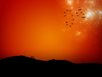 &nbsp;Agencja&nbsp;Interaktywna&nbsp;MUG&nbsp;