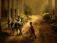 As poetically humanities, picturesque natural