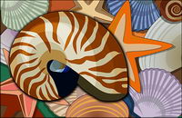 Conch, shells, starfish psd layered material