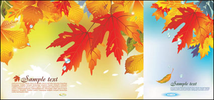 Vector background of the fall			