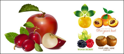 Fruit set vector of material