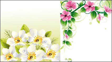 Vector flower borders \u0026amp; background		