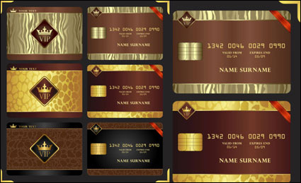 Gorgeous Jinzun VIP card - Vector