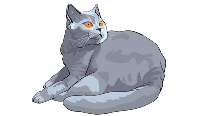 Animal material cat 03 - vector