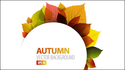 Autumn leaves vector material -1