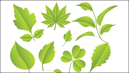 Leaves material 02 - vector material