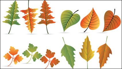 Leaves material 04 - vector material