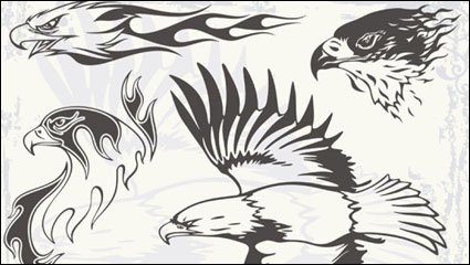 Eagle 01 - vector material