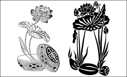 Lotus, lotus root vector