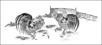 Vector material gamecock