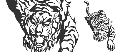 Tiger vector